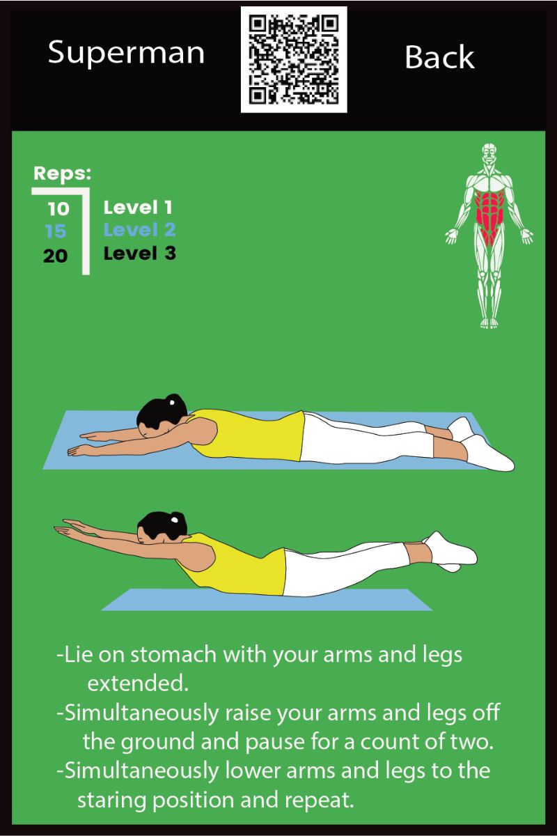 Exercise Flash Cards